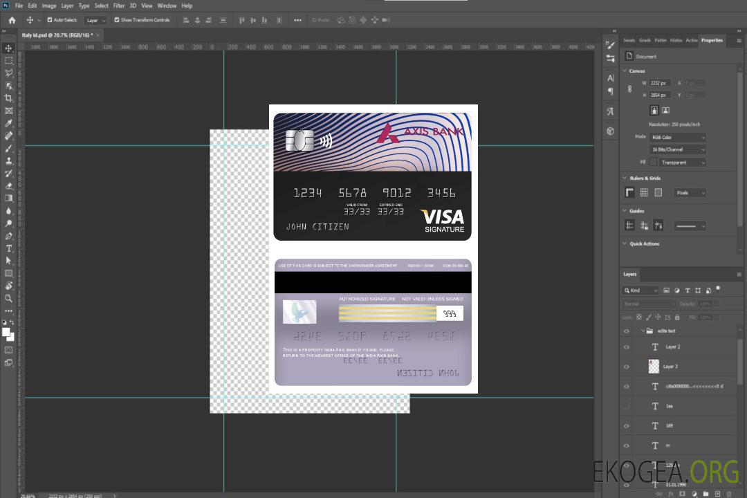 Carte de signature de visa bancaire Axis Inde template